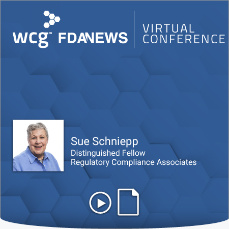 Sue Schniepp Virtual Conference - blue