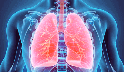 Lungs Human man